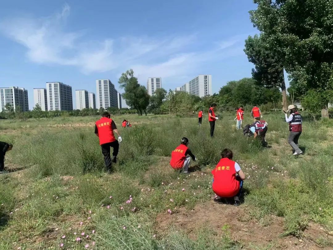 1688002794109705.jpg 640 (13)~1.jpg