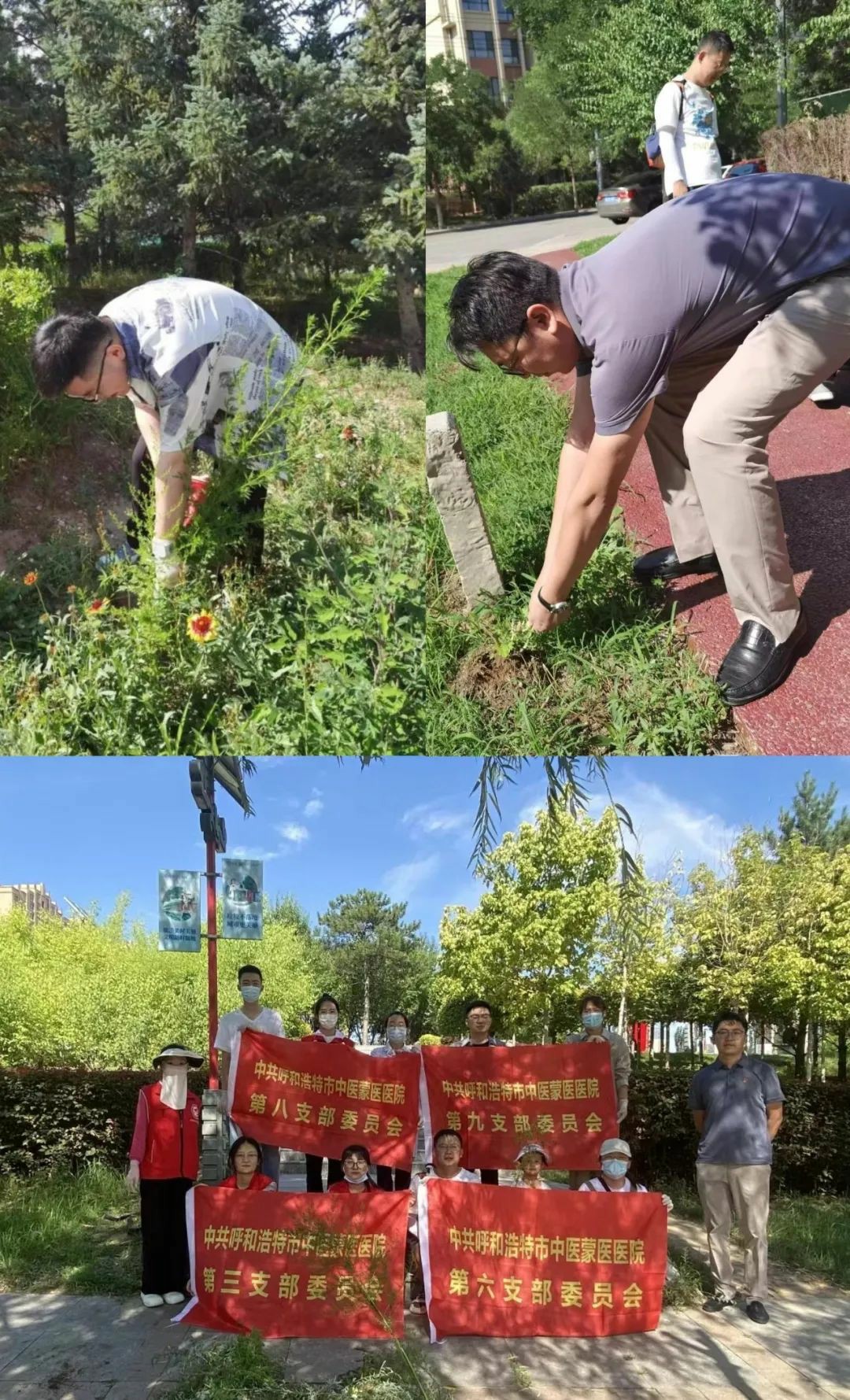 1691456613552226.jpg 640 (1)~1.jpg