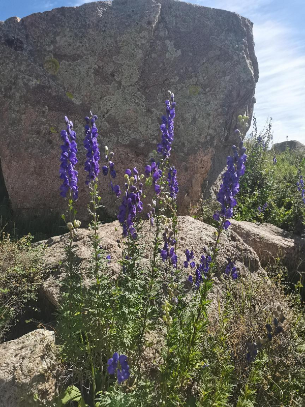 1694569879268647.png 微信图片_2_1.png